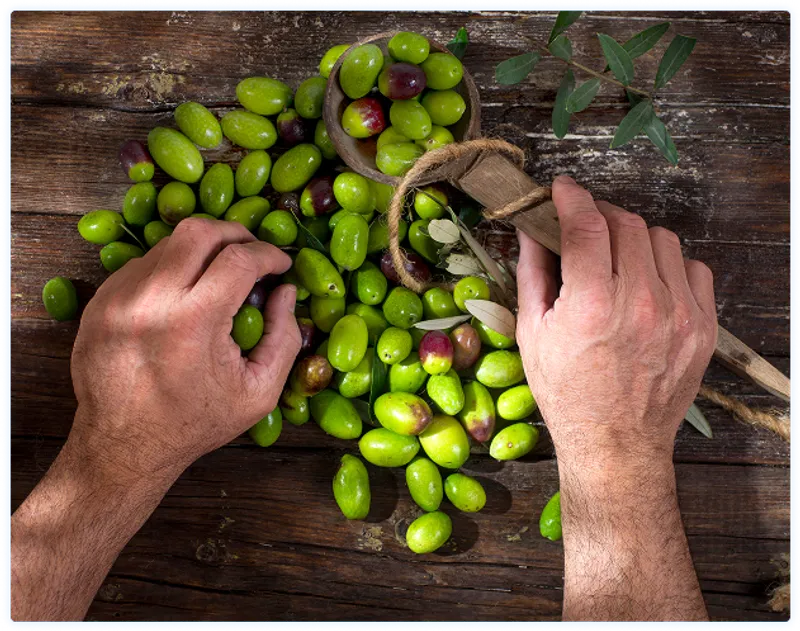 Imperia SCM para Agolives - Una herramienta de Supply Chain Planning robusta