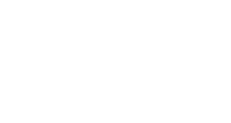 fiorucci