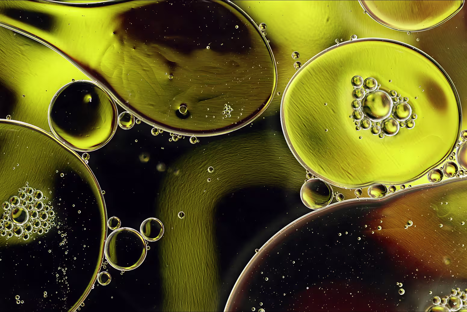 Oil distribution: balance between availability, cost and profitability