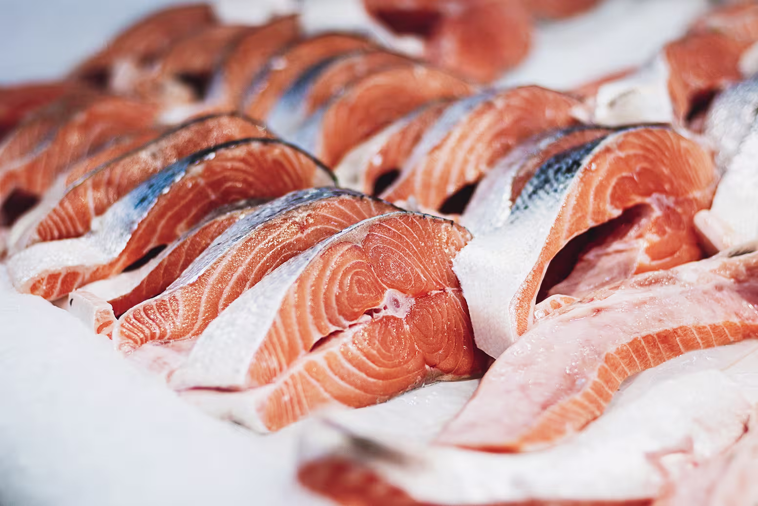 Fish and seafood distribution: agility, traceability and efficiency in the cold chain