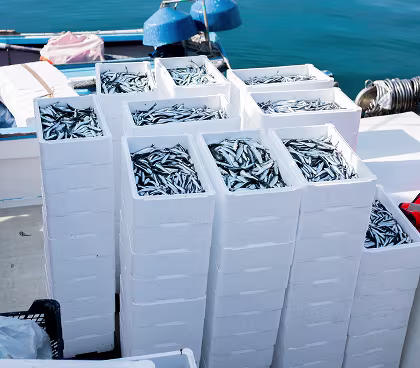 Meet MOQs and multiple global suppliers